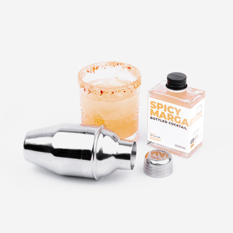 Mini Cobbler Cocktail Shaker